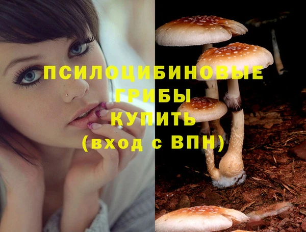 мефедрон мука Слюдянка