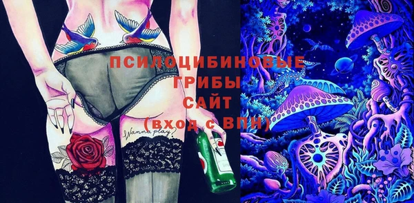 крисы Снежинск