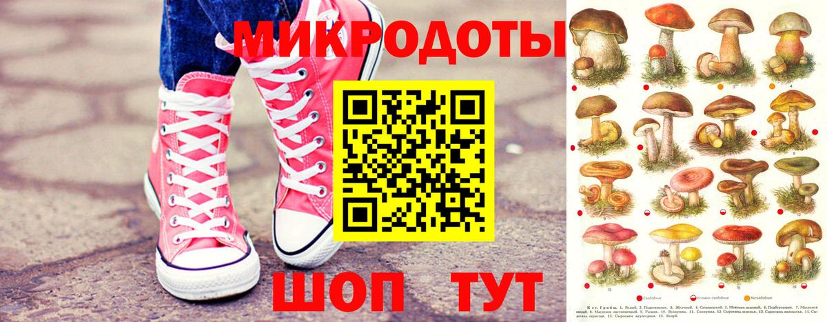 Черногорск  где найти   Вход с VPN  Галлюциногенные грибы мицелий 