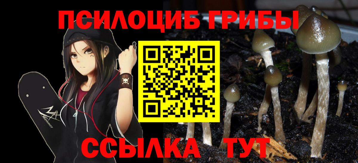Псилоцибиновые грибы прущие грибы Черногорск